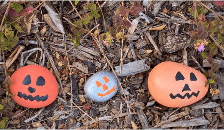 pet rock names