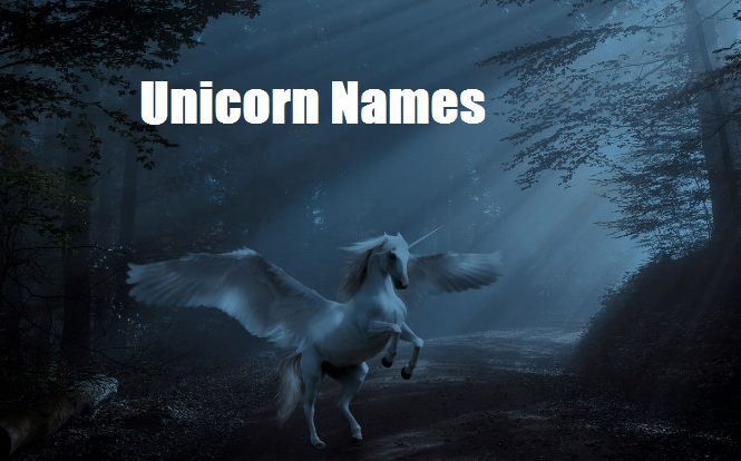 cute unicorn names