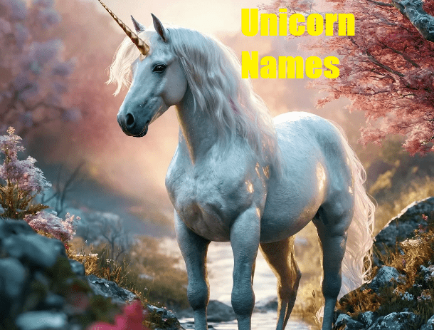 unicorn names