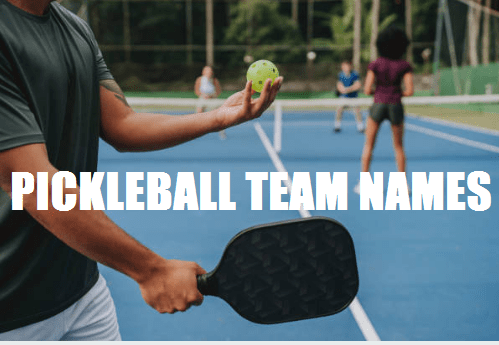 Pickleball team names