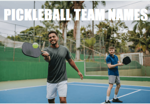 pickleball team names