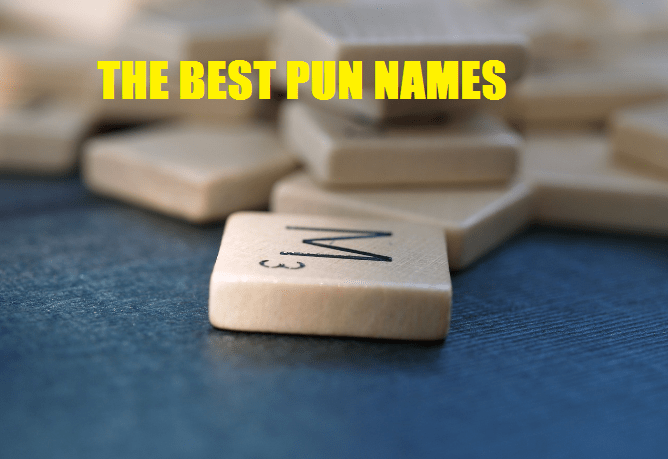 pun names