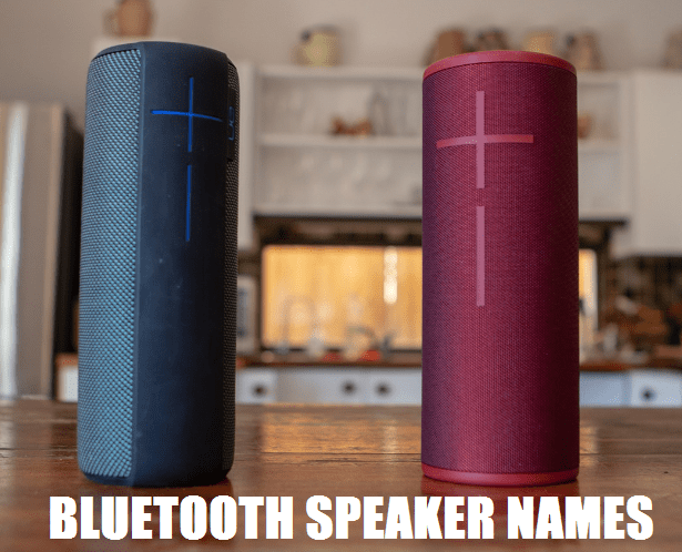 Funny Bluetooth Speaker Names